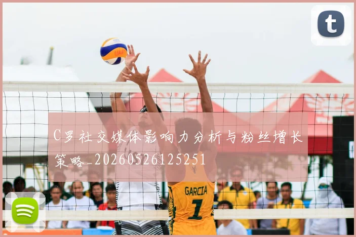 C罗社交媒体影响力分析与粉丝增长策略_20260526125251