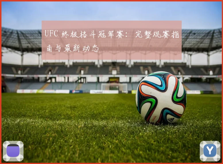UFC 终极格斗冠军赛:完整观赛指南与最新动态