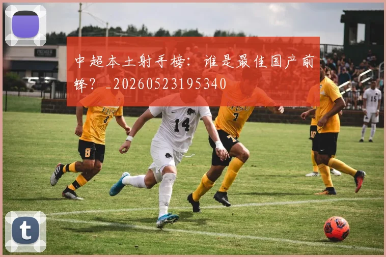 中超本土射手榜：谁是最佳国产前锋？_20260523195340