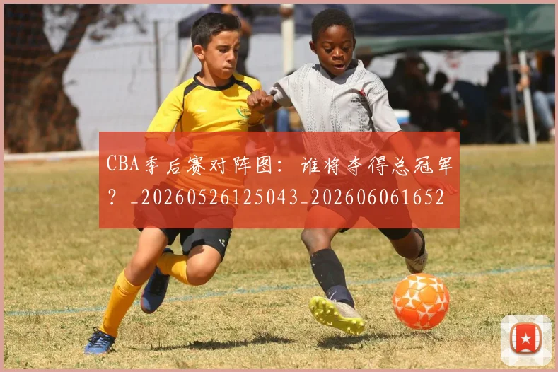 CBA季后赛对阵图:谁将夺得总冠军?_20260526125043_20260606165212