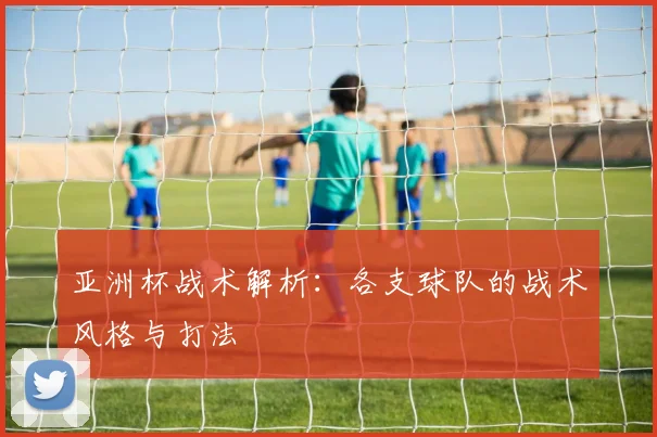 亚洲杯战术解析：各支球队的战术风格与打法